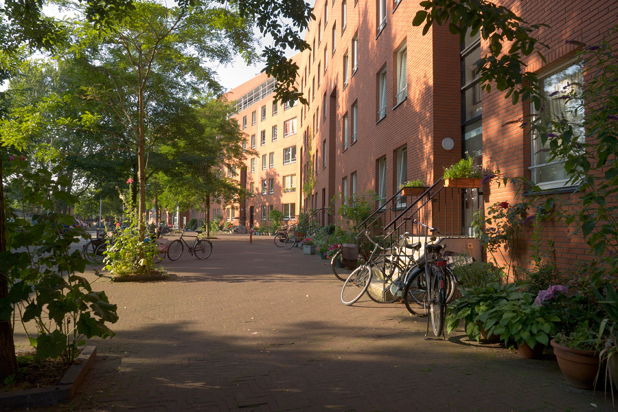GN-2008-GWL-DSC0782