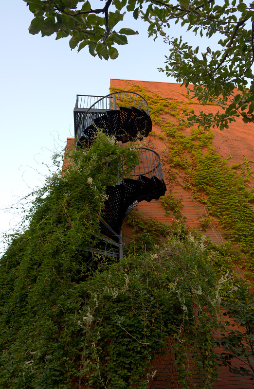 GN-2008-GWL-DSC1575