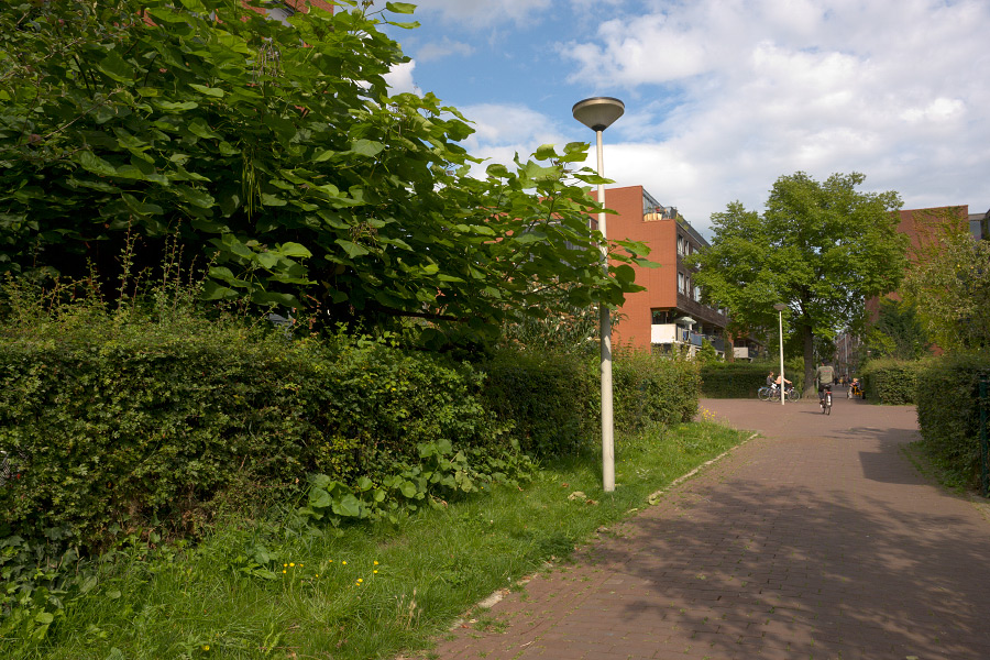 GN-2008-GWL-DSC1940