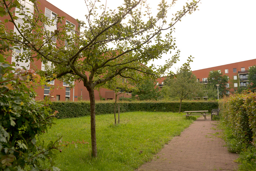 GN-2008-GWL-DSC1946